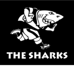 Shark.s Studios