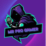 Mr.pro gamer's