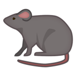 Zoko Rat Center