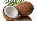 Coconut Milk gang