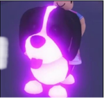 Neon pets spuad