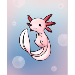 find the axolotl plush[READ DESC]