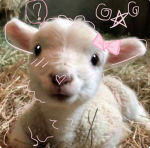 goats :p