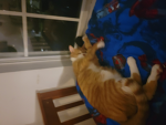 The super gingers