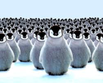 Penguin Army RBLX