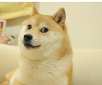 Doge army grand army of the republic