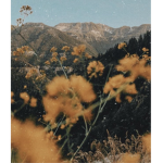 Calm Vibes Only! <3