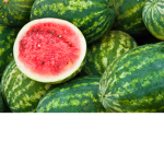 Watermelon Squad!!! DA COOL kidz