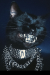 UwU E-Kittens