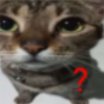 Cattalicious Group Thumbnail