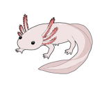 AXOLOTL ARMY!!!!!!!!!!!