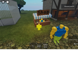 noobs place