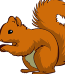 Squirrel_Studios