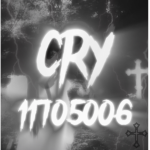 彡cry
