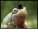 Fabulous Frog's