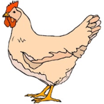 Chicken’s Clan