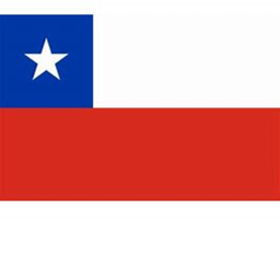 (Beta) Proyecto Aaaa lo Chileno