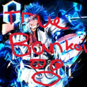 TYPE://SOUL [TRUE BANKAI  BATTLEGROUND]