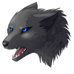 Wolves Training