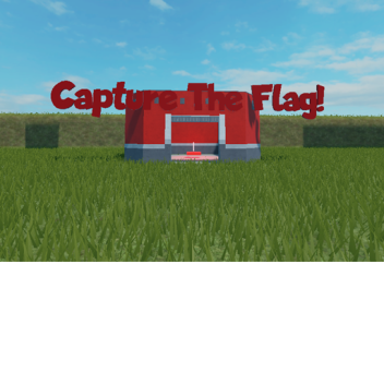 Capture The Flag!