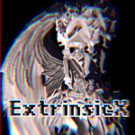 ExtrinsicX