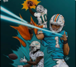AFC nfl division fans