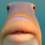 Moop Games