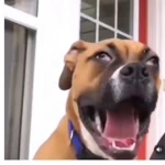 Reeeeeeeeeeeeeeeeeeeeeeeeeeeeeeeeeeeeee Studios