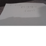 The piggy fans group A