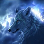 kjellsgamer fan group