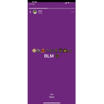 BLM 878