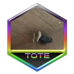 Beat The Tower of Total Exhaustion (LE) (Unobtai..