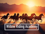 {|| Willow Riding Academy ||}