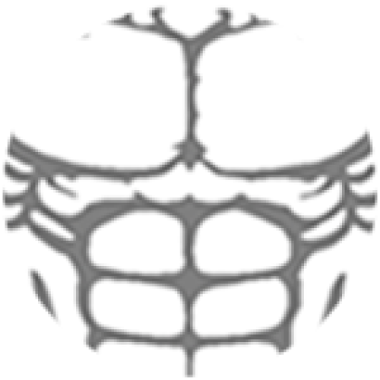 Roblox t shirt muscle online