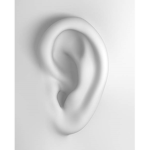 The Ear Army