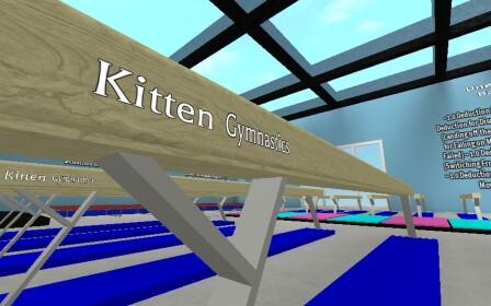Kitten Gymnastics! Public Gym