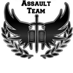 Assault Team Flash Point