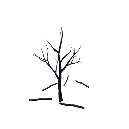 burnt tree II