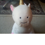 Unicorns are the Best Squad.