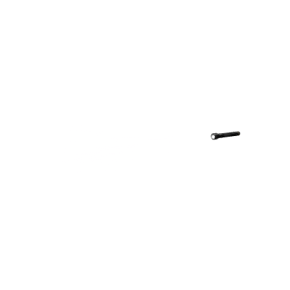 Apeirophobia Flashlight Point Light