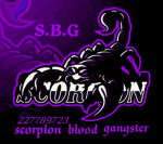人形Scorpio