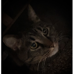 My BFF :)