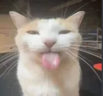 あ KYU