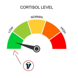 Cortisol Tower