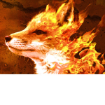 Firefox $