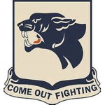 US Tank Battalion - Regiment