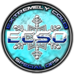 E.C.S.O