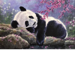 PANDA(S) HERE