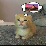 miau.exe