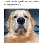 Dog club Hi